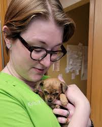 Wakarusa Veterinary Hospital