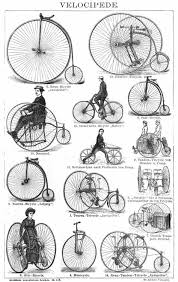 Velocipede Wikipedia The Free Encyclopedia Bicycle Art Antique Bicycles Bike Poster
