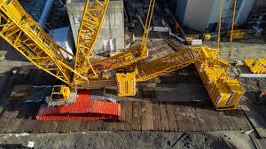 Image result for Construction Yellow 2023 Fleet