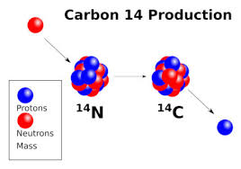 In fact, the types of carbon in our bodies correlate with the amount of. What Is Carbon Dating Creation Moments