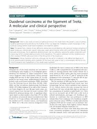 Learn the risk factors, symptoms, and treatments for this disease. Pdf Duodenal Carcinoma At The Ligament Of Treitz A Molecular And Clinical Perspective