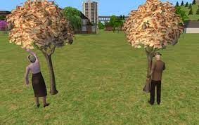 Update 3t2 Money Tree Money Trees Daisy Chain Whispers In The Dark