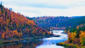 Landscape typologies atriums (52) baths (18) botanic garden (14) bridges and piers (115) campus (62) cemeteries and memorials (42) community gardens (28) community participation (18) landezine newsletter. Autumn Visitfinland Com Beautiful Landscapes Landscape Finland