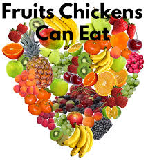 They scratch the ground and find however, we need to remember that these are very sweet treats, and that is why we humans like to eat them almost as much as chickens love to eat grapes. Fruits Chickens Can Eat