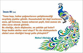 Hatice I Kubra Adli Kullanicinin Hz Ali Ra Panosundaki Pin 2020 Iman Kusu Oya