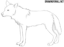 Anime drawings are mostly used in japanese comics or better known as manga. How To Draw An Anime Animal Drawingforall Net