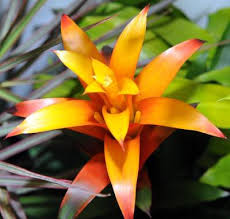 We can deliver any bouquet you choose to attleboro, ma or nationwide! Hot In Here Go Thesunchronicle Com