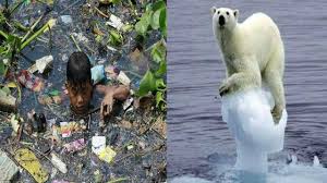 Pin On How Does Climate Change Affect Animals