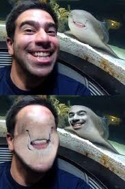 funny おしゃれまとめの人気アイデア pinterest malk sayed 爆笑画像 笑える顔 面白い画像