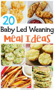Family Recipes For Baby Led Weaning Weaning Foods Baby Food Recipes Baby Led Weaning Recipes