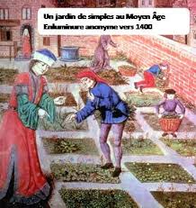 Un Jardin De Simples Au Moyen Age Jardin Medieval Histoire De L Art Moyen Age