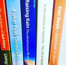 Image result for Ensign Blue 1980 Motor Home