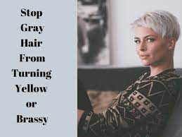 Lemon juice is a great pollutant killer, and pollutants can be the cause of the yellowish color. How To Stop Gray Hair From Turning Yellow Or Brassy Bellatory