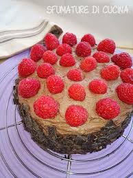 Torta Ai Lamponi Con Ganache Al Cioccolato Sfumature Di Diabete E Di Cucina