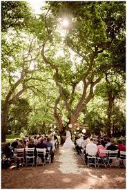 Ivan Erane Beloftebos Stanford Wedding Cape Town Wedding Venues Forest Wedding Venue Forest Wedding