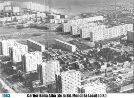 Licitaţiile sunt organizate de direcţia de finanţe alba. Balta Alba Carte Executari Silite Alba