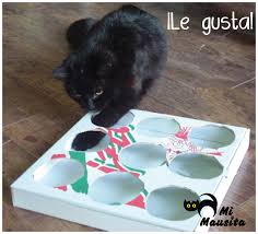 Juegos de gincana para niños. 92 Ideas De Juguetes Para Gatos Juguetes Para Gatos Gatos Cosas Para Gatos