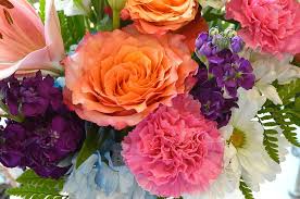 We did not find results for: Flowers Bouquet Roses Carnations Daisies Pink Orange Purple Wedding Spring Floral Pikist