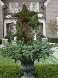 Evergreen Container During Winter Months Deborah Silver Evergreen Container During Winter Month In 2020 Gartencontainer Weihnachten Dekoration Weihnachts Pflanzen