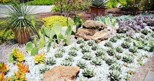 Twilight At Twigs Musical Series And Refreshments For Two Or Four At Tower Hill Botanic Garden Half Off Tower Hill Botanical Garden Botanical Gardens Botanical