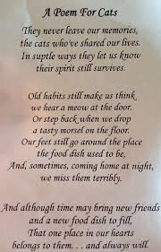 A Poem For Cats Pet Loss Quotes Losing A Pet Cat Poems