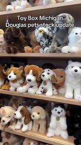 Current douglas stock 💗🫶  #douglas#stuffedanimals#fyp#foryoupage#foryou#toyboxmichigan#shoputica#thegoodtoygroup