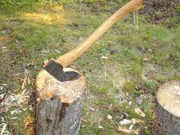 Budget Hatchet Bushcraft Usa Forums