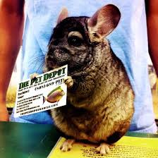 We did not find results for: The Pet Depot Hawaii Home Facebook