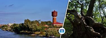 Delta dunarii a intrat in patrimoniul mondial al unesco in 1991, este clasificata ca rezervatie a biosferei la nivel national in romania si ca parc national in taxonomia internationala a iucn. Why Sulina Pensiunea Delta Miraj Sulina