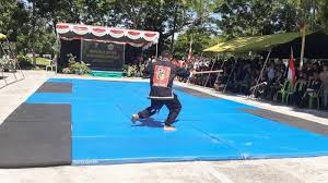 Jurus pencak silat psht meliputi 36 jurus dimulai dari jurus 1 sampai dengan jurus 36. Yonif 743 Psy Persatukan Perguruan Silat Psht Dan Ikspi Di Arena Pentas Seni Pencak Silat Halaman All Pos Kupang