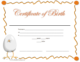 January february march april may june july august september october november december. Certificate Of Birth Printable Certificate Birth Certificate Template Certificate Templates Fake Birth Certificate
