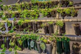 5% coupon applied at checkout. Tips For Starting A Hanging Basket Garden
