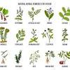 Maybe you would like to learn more about one of these? 1