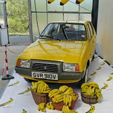 Image result for Jaune Lacerta 2011 Citroen