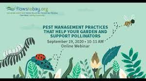 Our pest management programs are pervasive, meaning they get rid of more pests and keep them away longer. Pest Management Flows To Bay