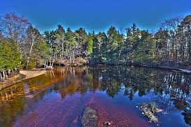 Check spelling or type a new query. Double Trouble State Park State Parks Outdoor Park