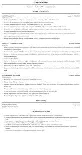 Cv layout, finance manager cv, free resume, curriculum vitae, example, cash flow, managing, accounting created date: Credit Manager Resume Sample Mintresume