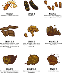 See full list on petmd.com Diarrhoea In Dogs Causes Symptoms Treatment Pure Pet Food