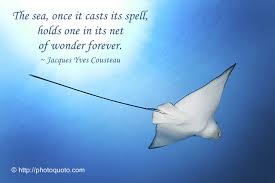 Read the best motivational jacques cousteau quotes at the cite site. Quotes About Jacques Cousteau 19 Quotes