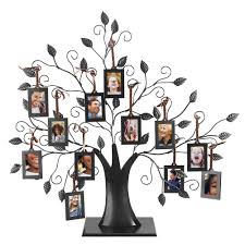 Family tree logo,family heart tree symbols,parent,kid,parenting,care,health education set icon design vector. Zerodis 6 Hanging 12 Hanging Photos Display Tree Family Tree Photo Frame With Hanging Tree Design Decorative Table For Photo Picture Tree Display L Buy Online In Japan At Desertcart Jp Productid 127781538