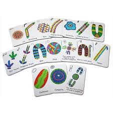 Pin By Jennifer Tayne On Aboriginal Games For Kids Classroom Plays Aboriginal
