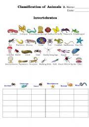 Classification Of Animals 2 Esl Worksheet By Beucici17