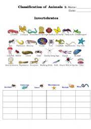 classification of animals 2 esl worksheet by beucici17