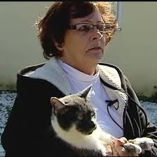 Man rescuing cat falls down well