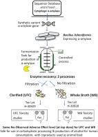 Safety Evaluation Of Two A Amylase Enzyme Preparations Derived From Bacillus Licheniformis Expressing An A Amylase Gene From Cytophaga Species Sciencedirect