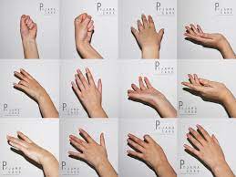 A Collection Of Anatomy And Pose References For Artists Hand Reference Hand Drawing Reference Hand Pose
