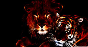 Hipwallpaper is considered to be one of the most powerful curated wallpaper community online. Glowing Lion And Tiger 4k Hd Desktop Wallpaper For Hd Tiger And Lion 1284x698 Wallpaper Teahub Io