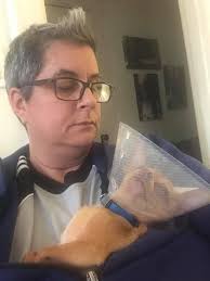 Baby boy had surgery today & is really hating the cone, any suggestions to  make him more comfortable about leaving it