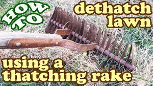 We did not find results for: How To Dethatch Lawn Thatch Thatching Dethatching Rake Thatcher Dethatcher Aeration Garden Tool Youtube