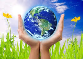 Image result for Environmental Information